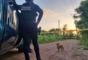 Asesinan a golpes a un desconocido en la zona sur de Culiacán