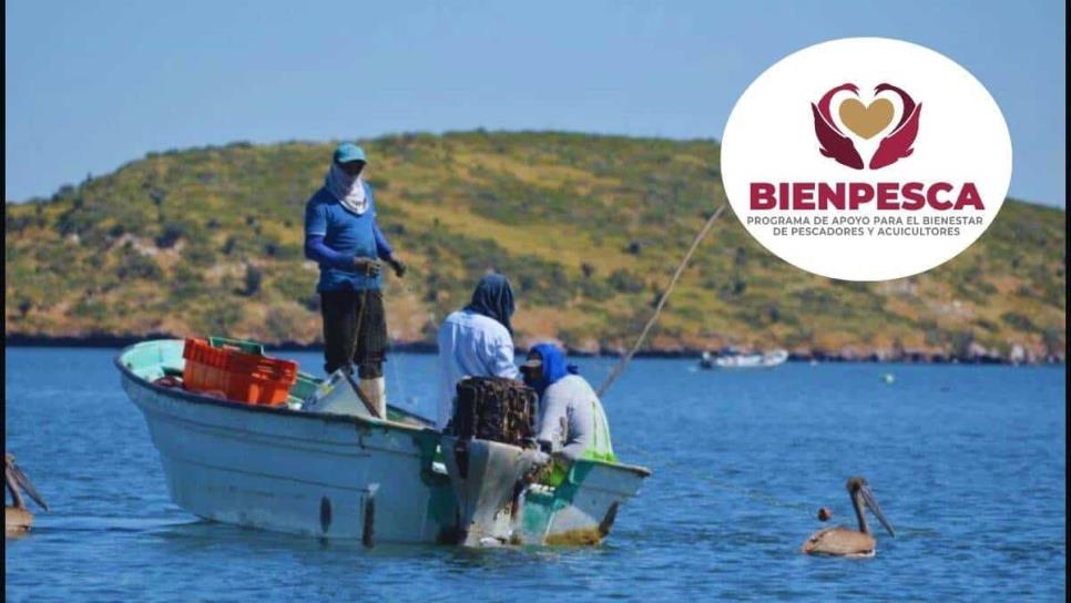 BienPesca: ¿qué es, a cuántos y cuánto se pagará este apoyo en Sinaloa?