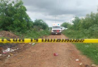 Ya son cinco cuerpos los localizados en la zona de Punta Azul y Vinoramas