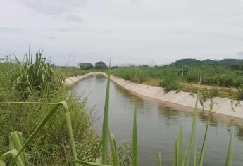 Canalazo en El Rosario deja un conductor muerto