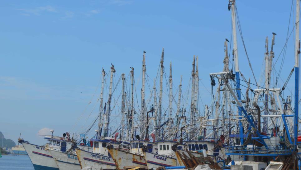 Septiembre, el mes más temido por muchos pescadores en Mazatlán por esta razón