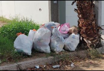 Recolección de basura se restablecerá este jueves 12 de septiembre: Ayuntamiento de Culiacán