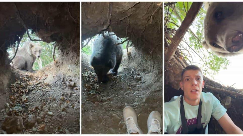 Influencer entra a una guarida y se encuentra cara a cara con un oso salvaje | VIDEO