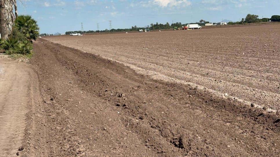 Conagua niega agua para cultivos adelantados