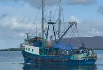 El 70% de los barcos en Sinaloa no saldrá a la captura de camarón 