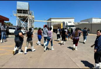 Suspenden actividades en congeladora por fugas constantes de amoniaco en Ejido Mochis