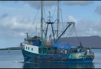 Pesca de camarón: ¿cuánta inversión requiere un barco para salir a altamar?