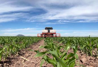 Sinaloa dejará de ser “el granero de México”