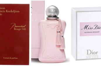 Conoce las mejores perfumes para mujeres elegantes