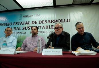 Sinaloa aprueba ciclo agrícola otoño-invierno 2024-2025