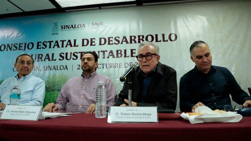 Sinaloa aprueba ciclo agrícola otoño-invierno 2024-2025