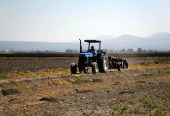 Sin agua, Sinaloa enfrenta el ciclo agrícola más complicado de su historia