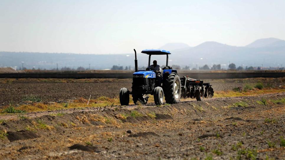 Sin agua, Sinaloa enfrenta el ciclo agrícola más complicado de su historia