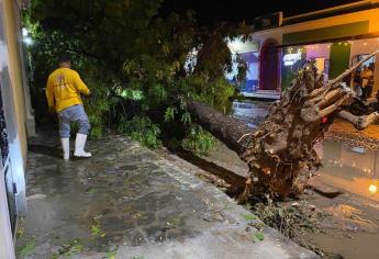 En El Fuerte reportan daños por lluvias y vientos de tormenta