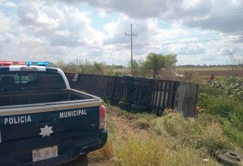 Vuelca tráiler con 14 toneladas de pescado en Guasave