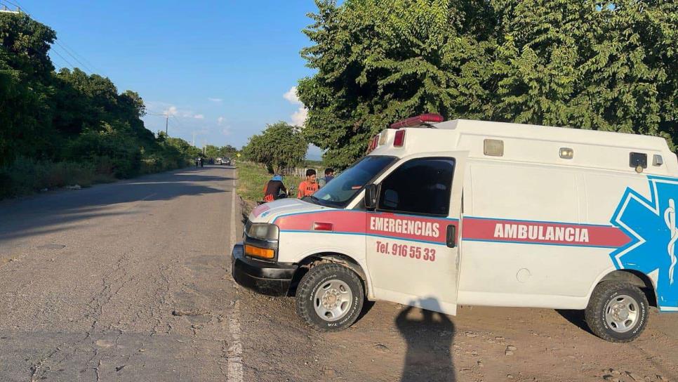 Muere adulto mayor tras ser picado por abejas en El Walamo