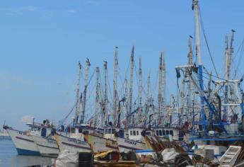 Pesca de camarón en altamar, de mal en peor