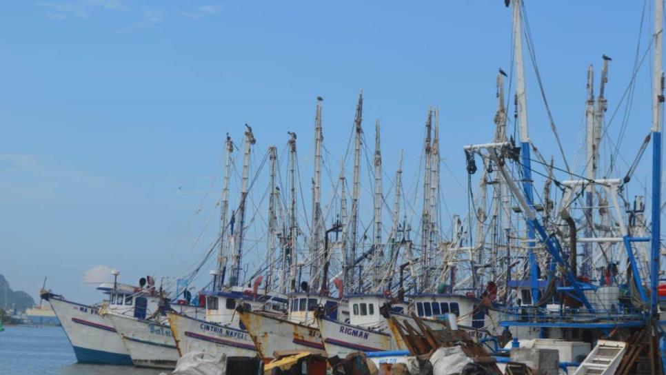 Pesca de camarón en altamar, de mal en peor