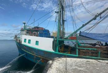 Se complica temporada de captura de camarón en Topolobampo 