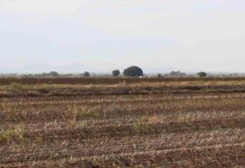 Temporaleros de Choix piden seguro catastrófico por sequía 