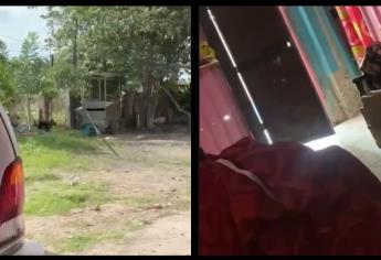 Reportan balaceras en Las Puentes de Villa Juárez, Navolato; así se escucharon los balazos | VIDEO