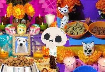 Día de Muertos 2024: esto debe llevar una ofrenda para tu mascota que partió al otro mundo