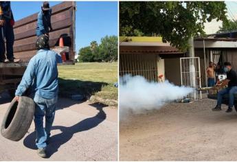 Estas 26 colonias de Los Mochis son un riesgo de criaderos del mosco del dengue