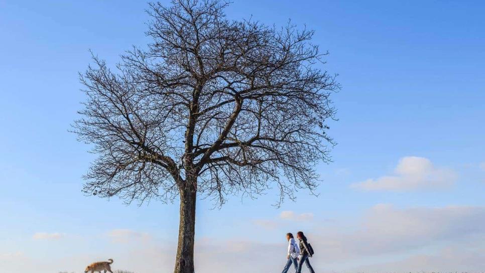 ¿Cuántas tormentas invernales habrá en México y cuándo empiezan?