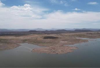 Sinaloa de frente al peor ciclo agrícola de su historia: CAADES