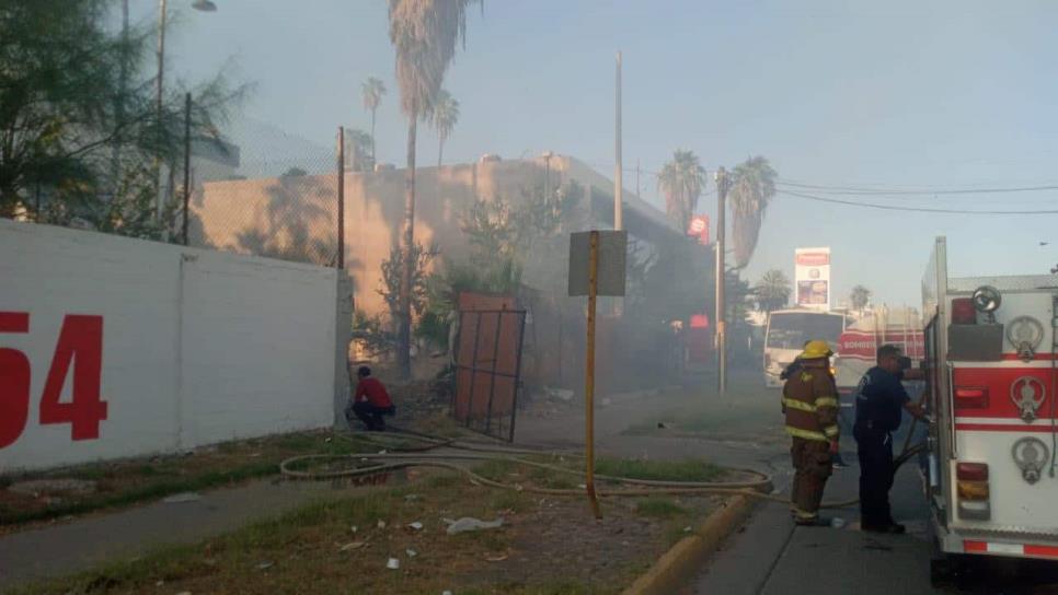 Incendio en baldío y terrenos del ingenio en Los Mochis, moviliza a Bomberos