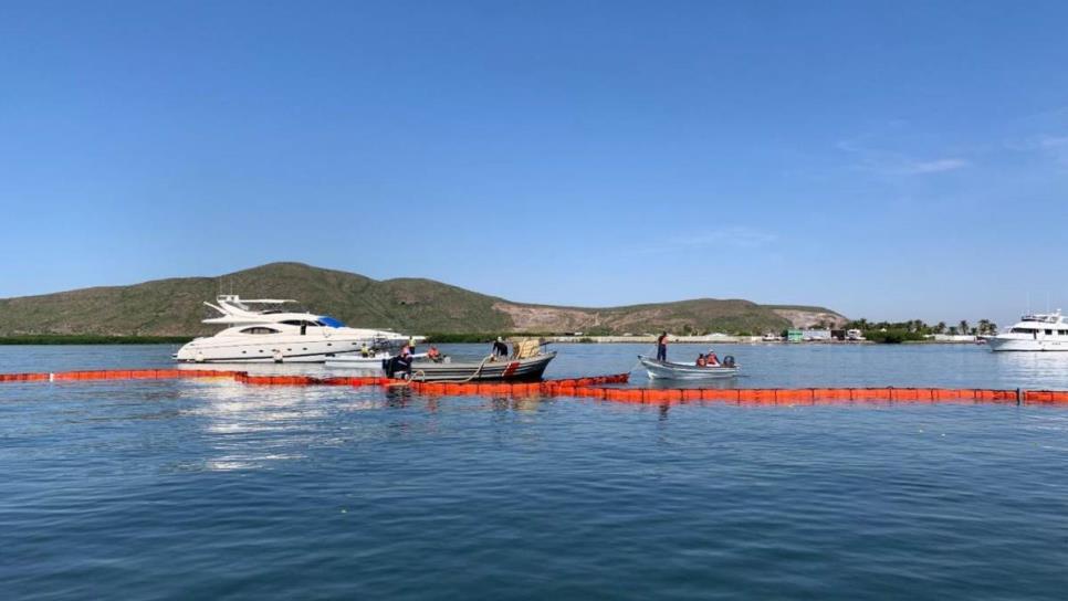 ¿Qué pasaría si se derrama combustible en la bahía de Topolobampo? 