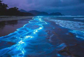 Estas playas de Sonora son ideales para ver la bioluminiscencia, un hermoso espectáculo visual