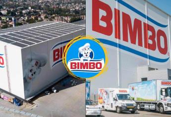 Bimbo abre vacantes con sueldos de hasta 19 mil 500 pesos mensuales; así puedes aplicar