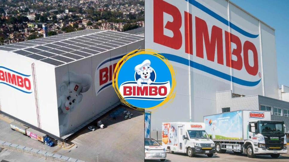 Bimbo abre vacantes con sueldos de hasta 19 mil 500 pesos mensuales; así puedes aplicar