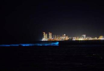 ¿Cuál es la playa de Sinaloa que brilla por la noche?