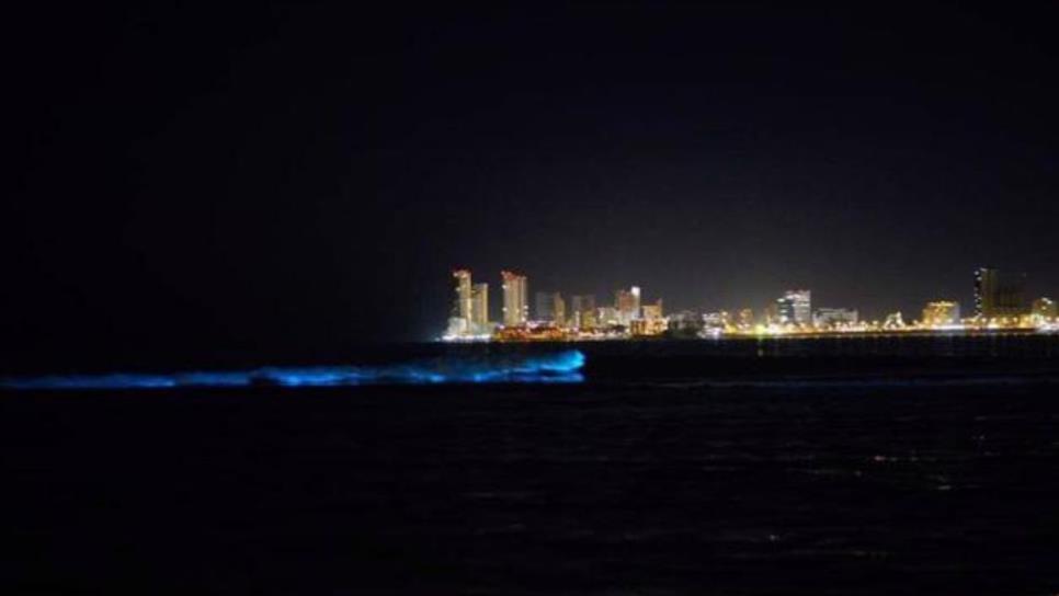 ¿Cuál es la playa de Sinaloa que brilla por la noche?