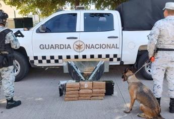 Guardia Nacional asegura 13 kilos de metanfetamina en una paquetería en Culiacán