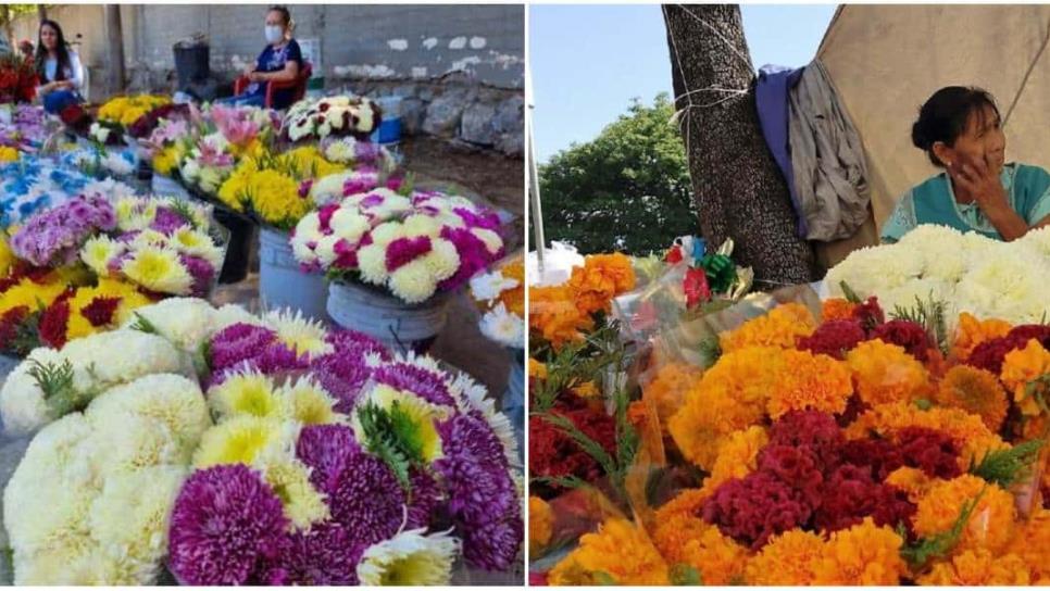 ¿Cuánto gastan los mochitenses en flores el Día de Muertos?