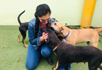 ¿Pasas por un duelo tras la pérdida de una mascota? Recibe psicoterapia gratis en Culiacán 