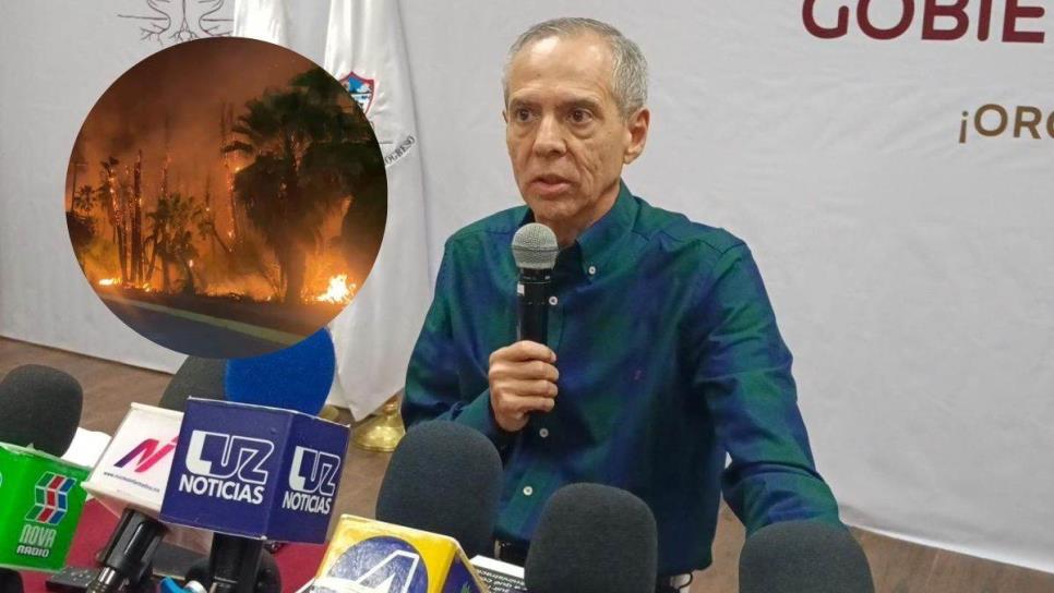 Nosotros no estamos para limpiar ni cuidar terrenos particulares, Gerardo Vargas ante incendio de palmas en Los Mochis