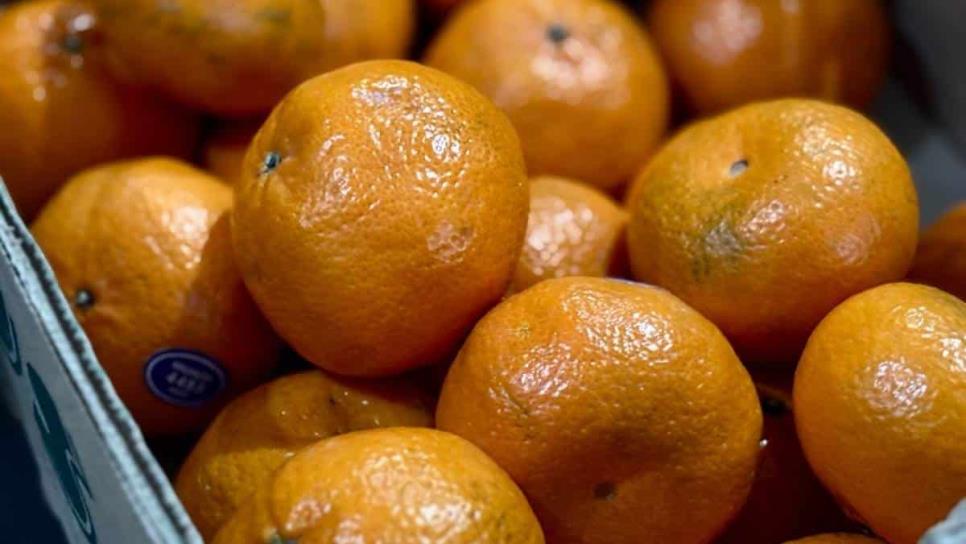 Descubre los beneficios de la mandarina, fruta de la temporada de invierno