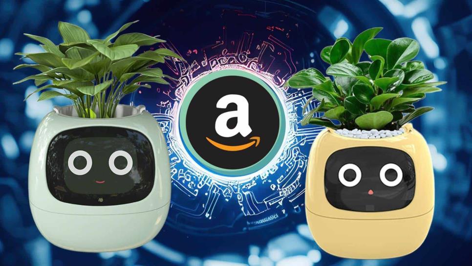 Amazon lanza maceta impulsada por la Inteligencia Artificial | VIDEO