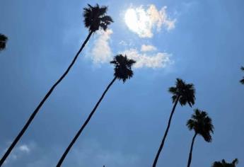 Cielos despejados y calorcito: Así será el día este miércoles, 13 de noviembre en Los Mochis