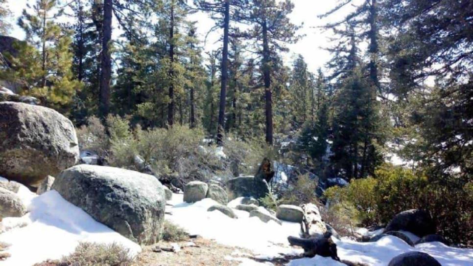 En este Parque Nacional de BC puedes ver la nieve y hermosos paisajes en este invierno