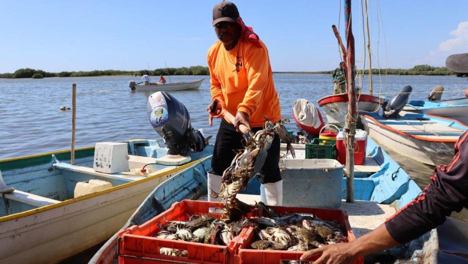 Sinaloa va por depurar padrón del Bienpesca