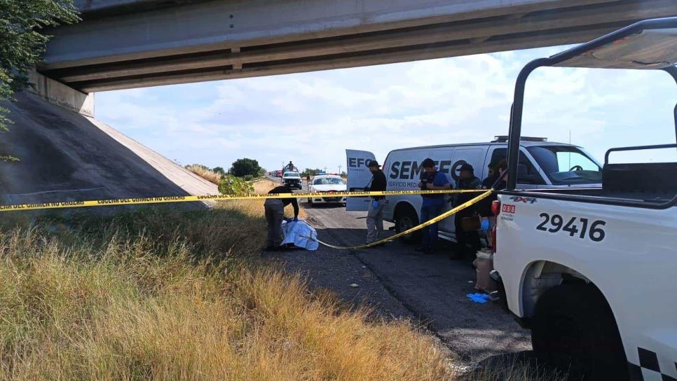 Encuentran a un hombre encobijado en San Pedro, municipio de Navolato