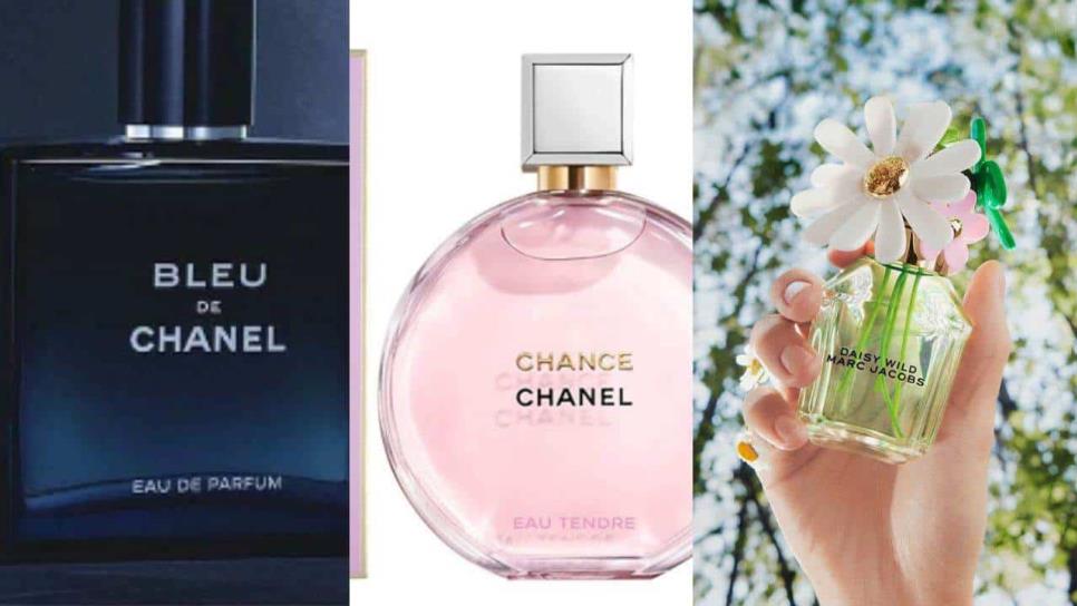 Estos perfumes son ideales para maestros según la Inteligencia Artificial