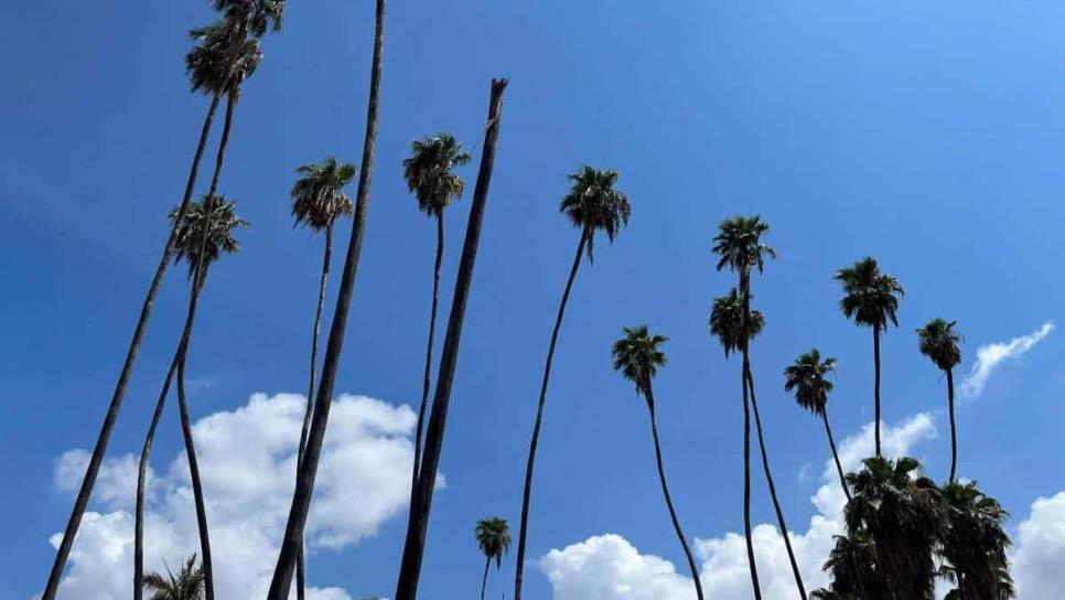 Cielos despejados y temperaturas agradables se esperan en Los Mochis este jueves, 21 de noviembre