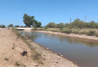 ¿Sembrar o no sembrar este año de sequía en Sinaloa?