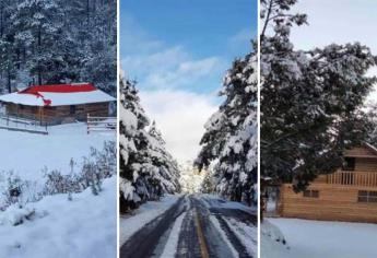 Invierno en Sinaloa; 3 Lugares cerca de Culiacán donde cae nieve